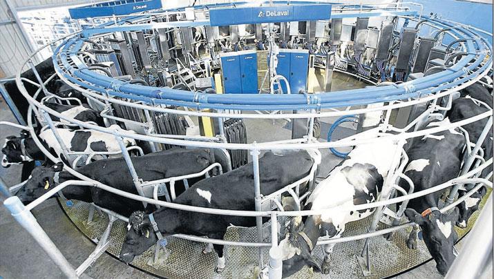 Dairy Automation Robots