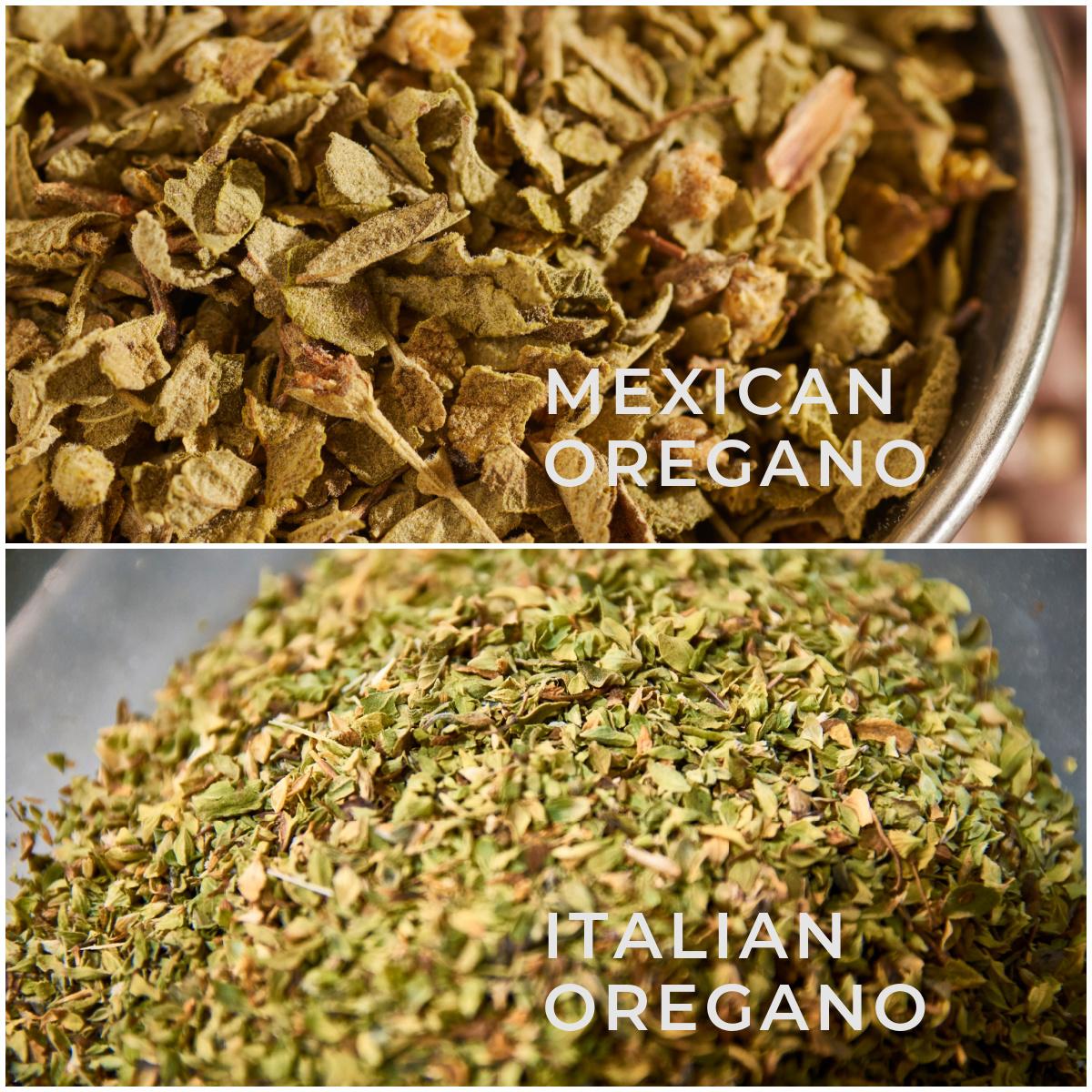 Oregano (Greek, Italian, Mexican)