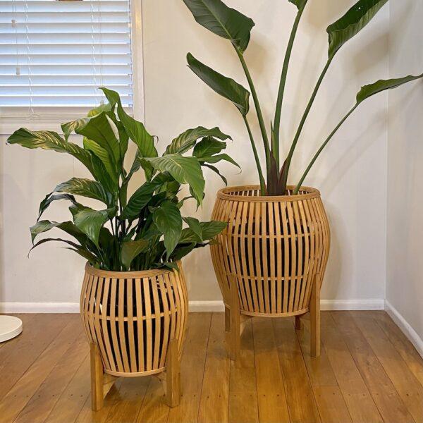 Bamboo Planters