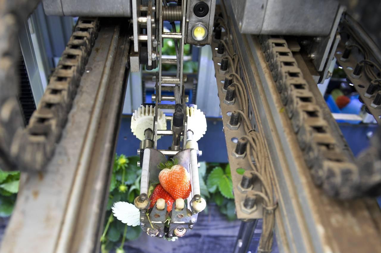 Specialty Planting Robots