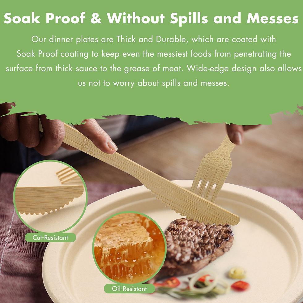 Bamboo Dinnerware