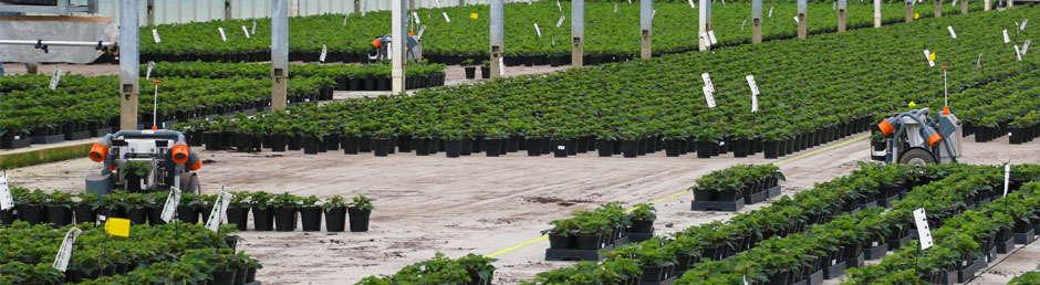 Nursery and Greenhouse Handling Robots