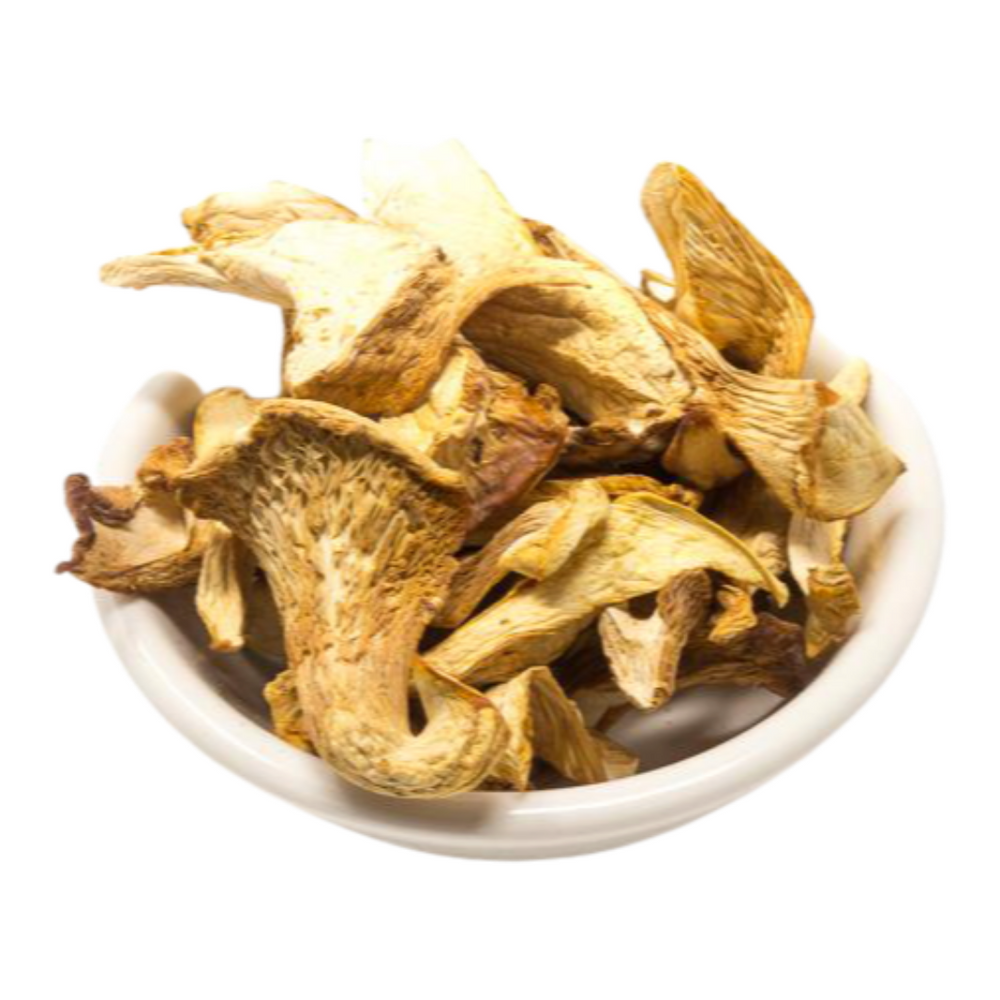 Dried Mushrooms & Fungi