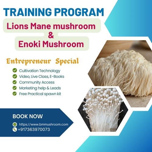 Specialty Mushrooms (Enoki, Maitake, Lion's Mane)