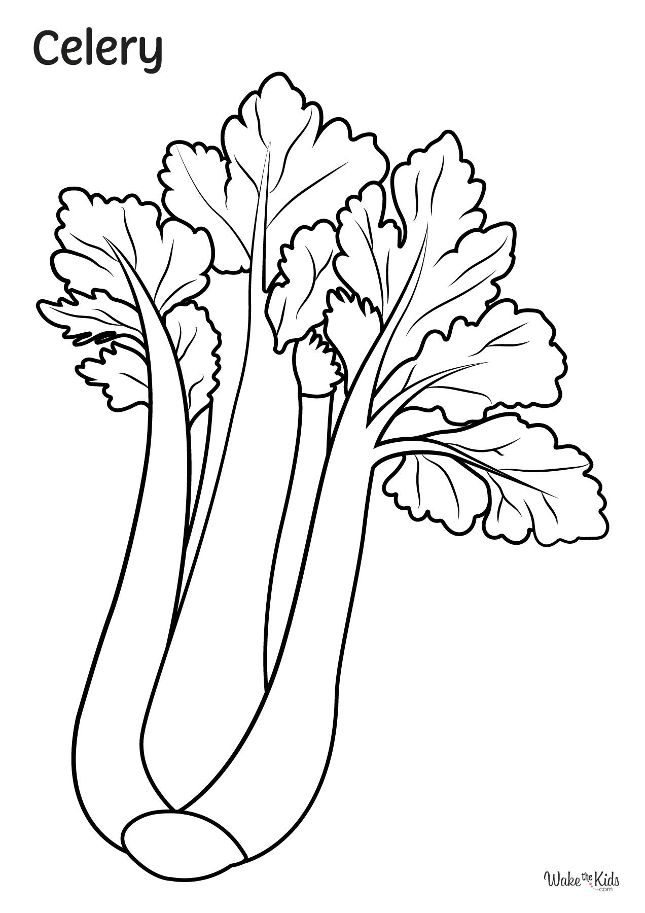 Celery