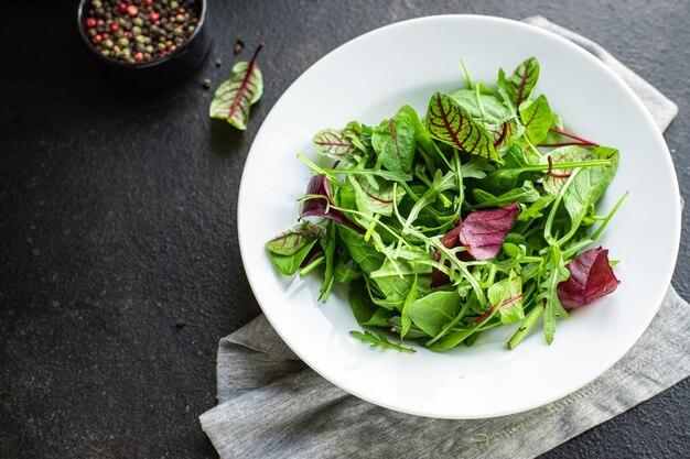 Leafy & Salad Seeds (Lettuce, Spinach, Swiss Chard, Arugula)