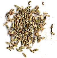 Chilli / Paprika Seeds