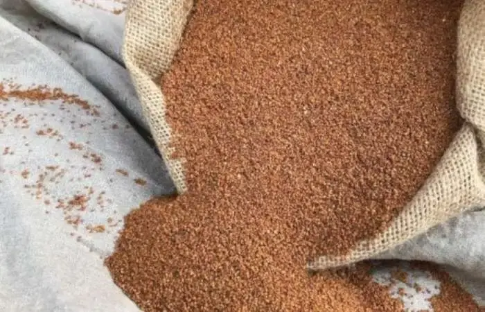 Soybean Seeds (GMO, Conventional, Organic, Food/Feed Grade)