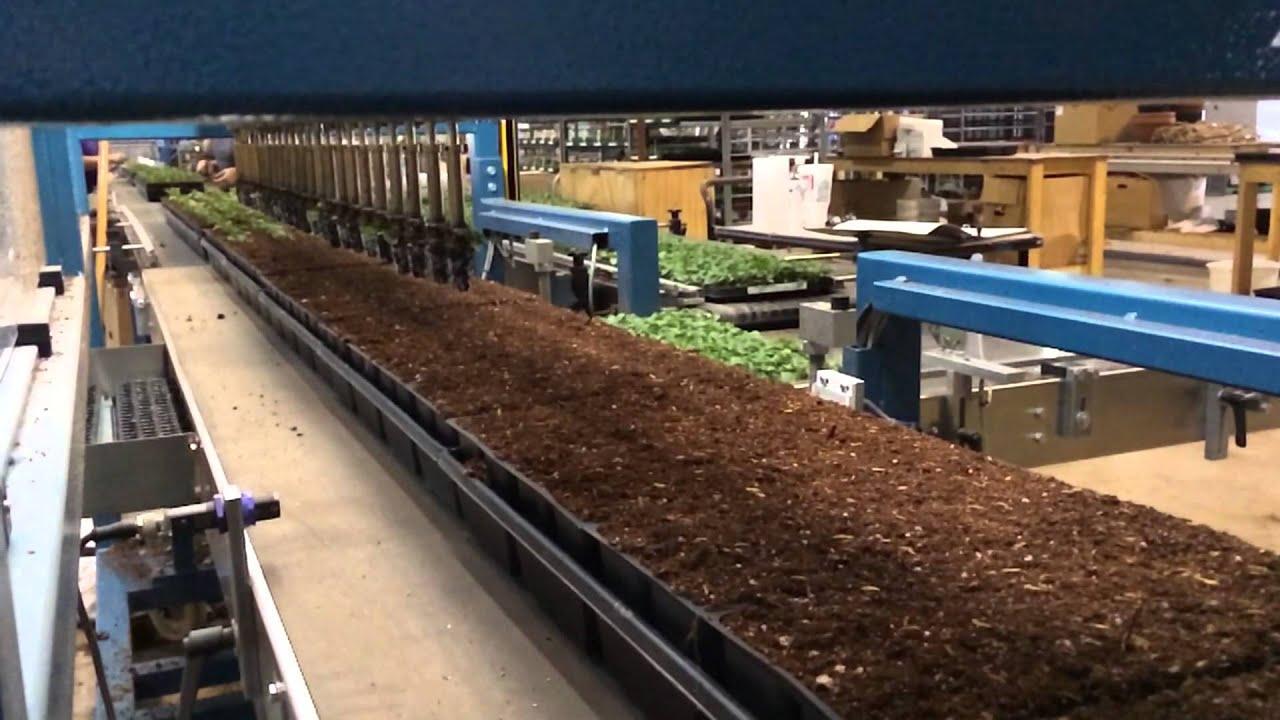 Transplanting Robots