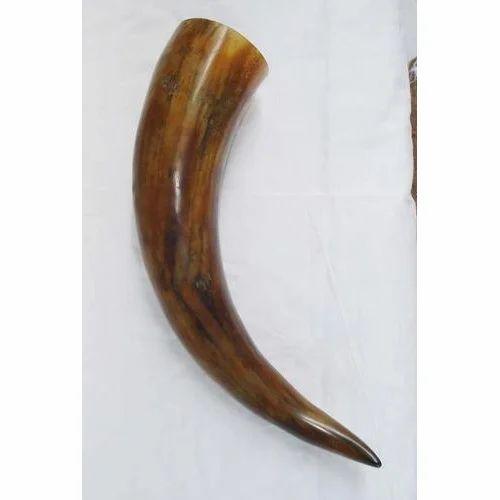 Horn Decorative Items