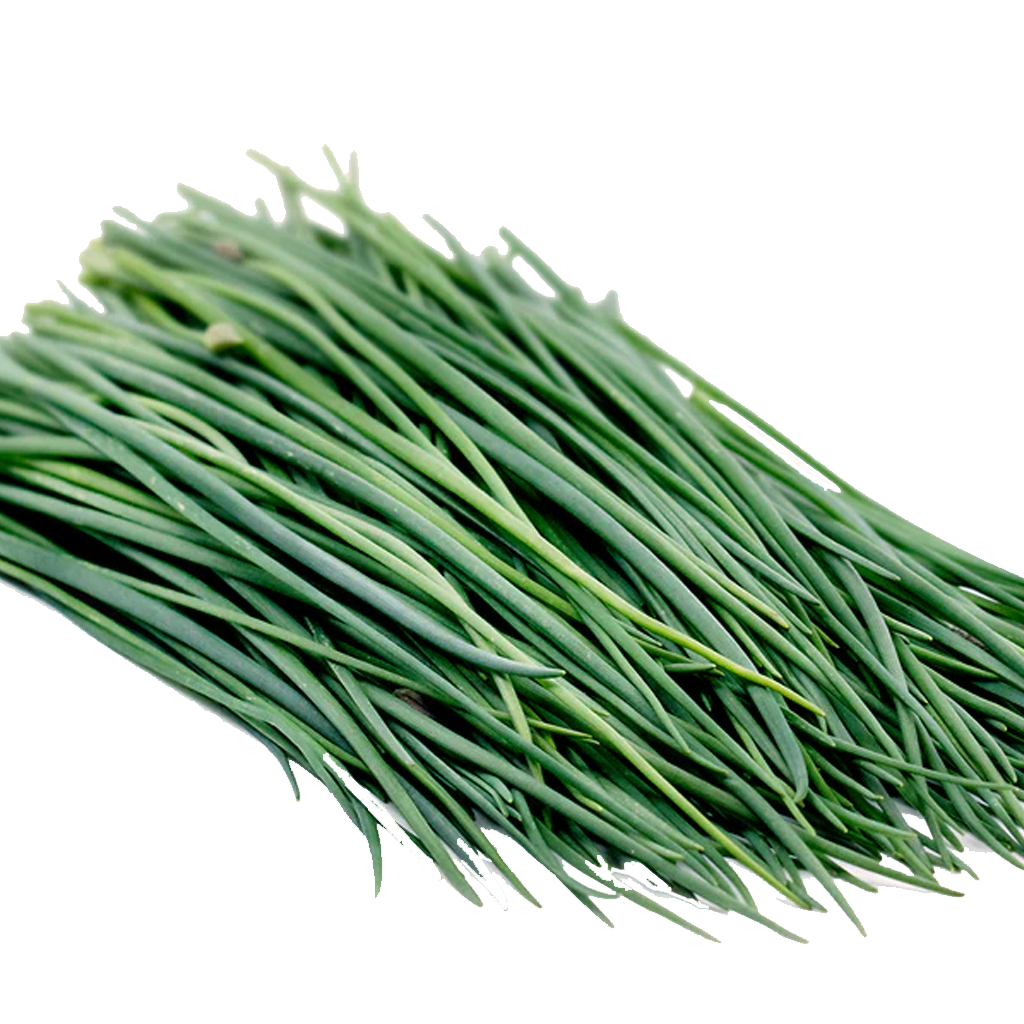 Chives