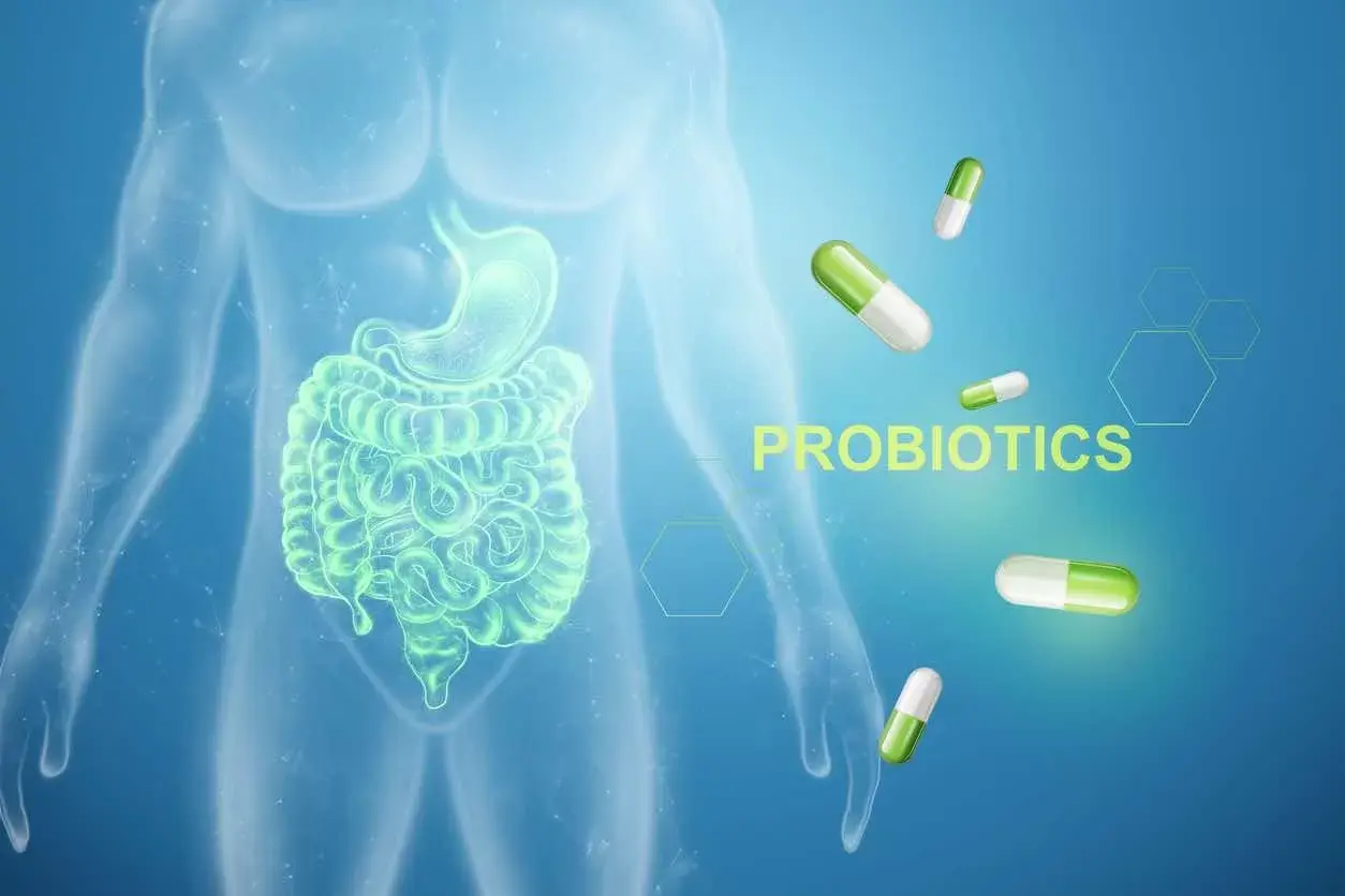 Probiotic & Gut Health Foods