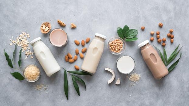 Dairy Alternatives (Oat Milk, Almond Milk, Soy Milk, Coconut Milk)