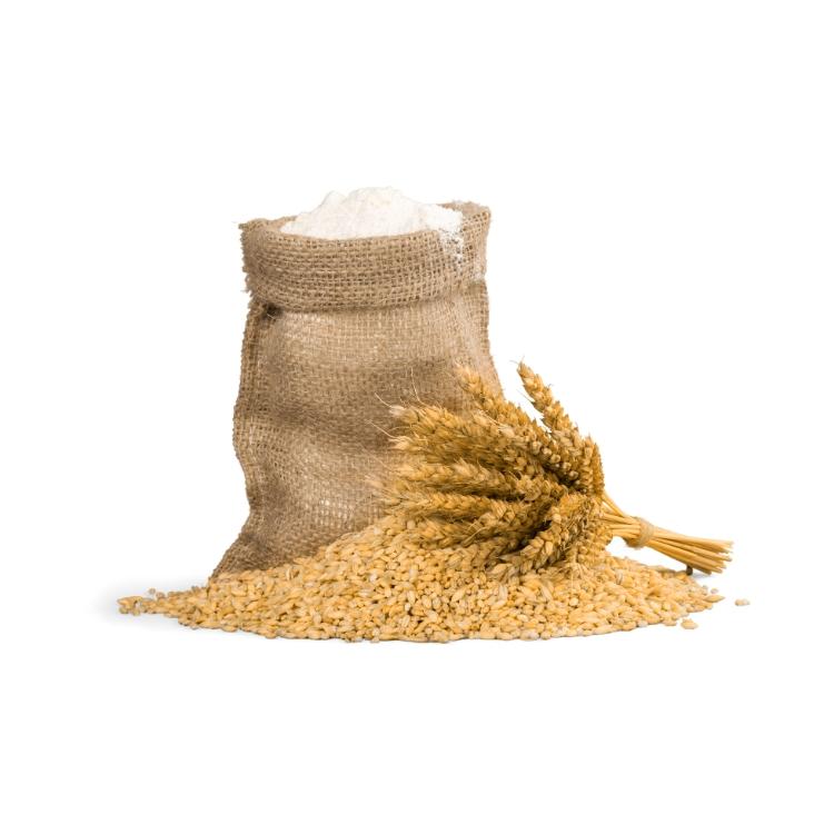 Hard Red Spring Wheat